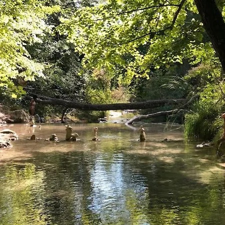 Hébergement de vacances Maison Familiale, Coeur De & Nature